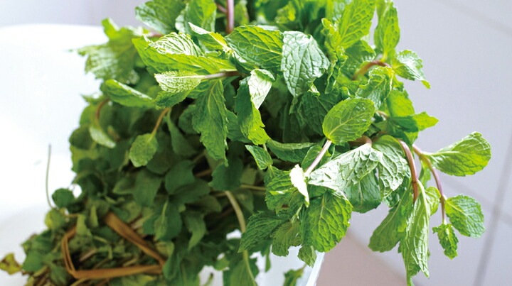 トリートメント 無添加 MOONSOAP ムーンソープ クロミツヘアパック ロイヤルジャスミン 220g ヘアパック オーガニック 正規品 ヘアケア ノンシリコン 低刺激 アウトバストリートメント ノンケミカル