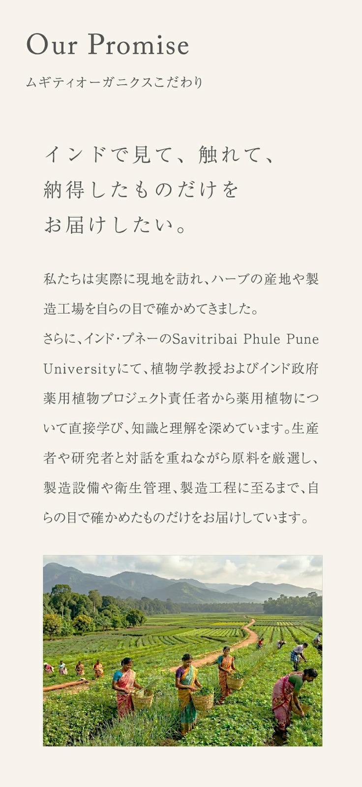 アイクリーム 無添加 ムギティオーガニクス ネトラアイクリーム（ネイトラアイクリーム）7g アーユルヴェーダ オーガニック 正規品 目元ケア 保湿 天然 ナチュラル ノンケミカル ムクティ