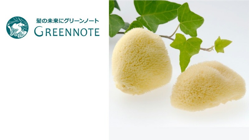 フェイス用スポンジ グリーンノート 天然海綿スポンジ フェイス用 2個セット 正規品 保存料不使用 天然 ナチュラル GREEN NOTE スポンジ