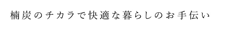 消臭剤 無添加 クスハンドメイド kususumi sachets - 楠炭消 臭サシェ（2個セット） 正規品 オーガニック KUSU HANDMADE 炭 消臭 くすのき クスノキ