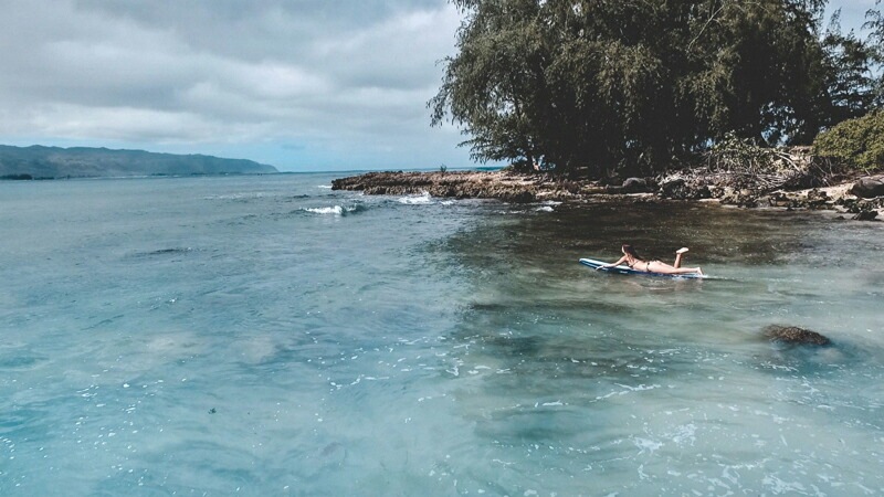 化粧水 無添加 モアニオーガニクス 保湿化粧水 MOISTURE LOTION 180ml ローション オーガニック シロキクラゲエキス ナチュラル ノンケミカル 自然 スキンケア 天然 エイジングケア