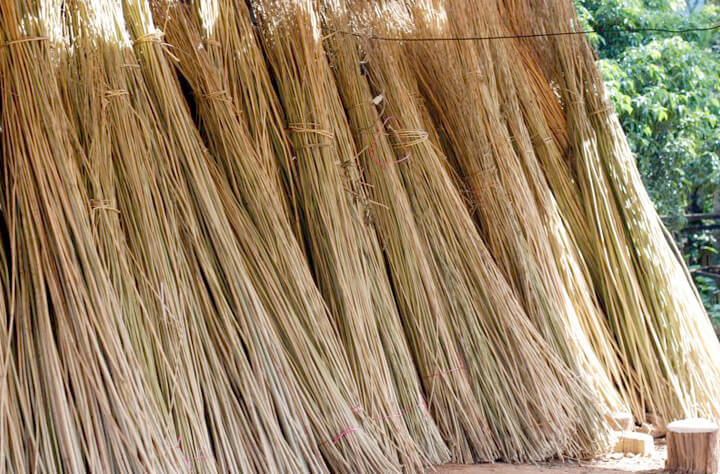 石鹸 無添加 MOONSOAP ムーンソープ ヘンプチャコールソープ 100g オーガニック 正規品 石けん(顔・あたま・髪・からだ用) ) 洗顔料 洗顔石けん 天然 ナチュラル ノンケミカル 自然