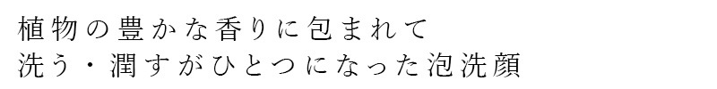洗顔フォーム Be（ビー） Beフェイスウォッシュ 150mL 正規品 オーガニック 天然由来100％ 洗顔 泡洗顔 毛穴汚れ うるおい 保湿 敏感肌 有機 オーガニック ヤシ由来 アミノ酸系洗浄成分 カミツレ発酵エキス コメ・クワ麹発酵エキス