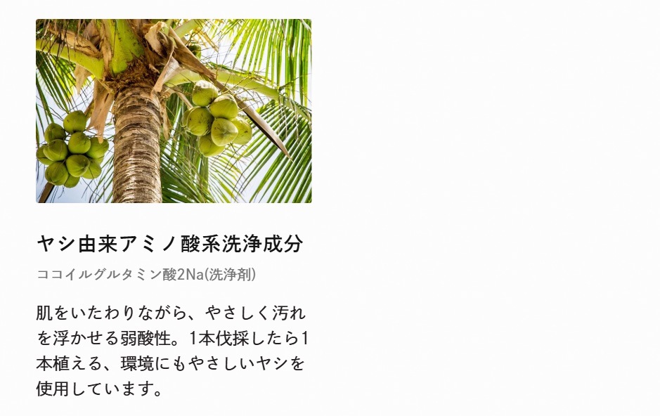 洗顔フォーム Be（ビー） Beフェイスウォッシュ 150mL 正規品 オーガニック 天然由来100％ 洗顔 泡洗顔 毛穴汚れ うるおい 保湿 敏感肌 有機 オーガニック ヤシ由来 アミノ酸系洗浄成分 カミツレ発酵エキス コメ・クワ麹発酵エキス