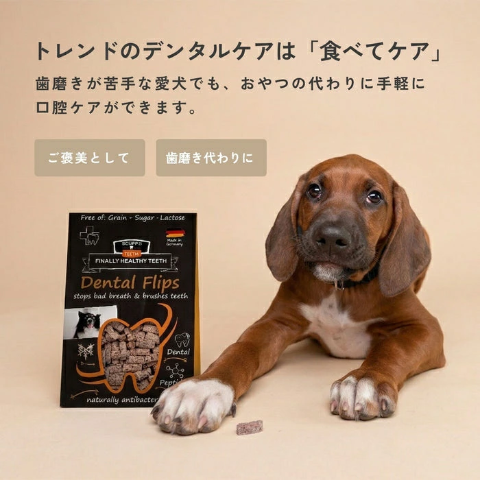 犬用おやつ QCHEFS（キューシェフズ）Dental Flips for Dogs 犬用 デンタルフリップ 35g 小型犬向け 無添加 カリカリ 100％天然由来 犬用デンタルケア 歯垢・歯石・口臭ケア 健康 カミカミ グルテン・乳糖不使用 腸内環境サポート