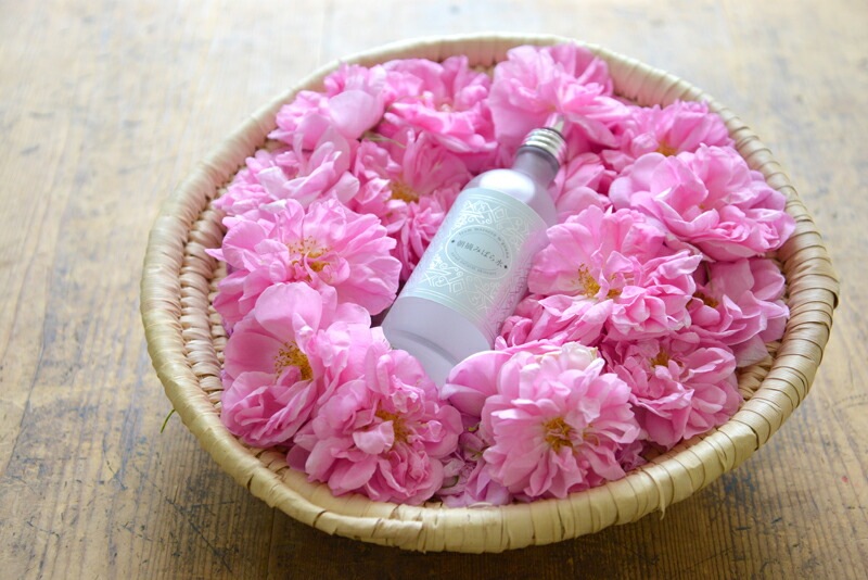 化粧水 無添加 ナイアード 朝摘みばら水 100ml オーガニック 正規品 スキンケア ローション プレ化粧水 朝摘みバラ水 天然 ナチュラル ノンケミカル