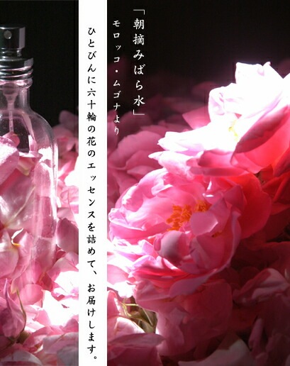 化粧水 無添加 ナイアード 朝摘みばら水 100ml オーガニック 正規品 スキンケア ローション プレ化粧水 朝摘みバラ水 天然 ナチュラル ノンケミカル