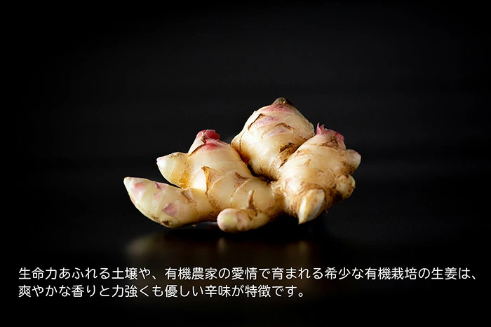 生姜粉末 ムソー 後藤製菓 有機生姜粉末 10g 正規品 保存料 無添加 オーガニック 生姜 パウダー 有機生姜 有機JAS認定商品 後藤製菓