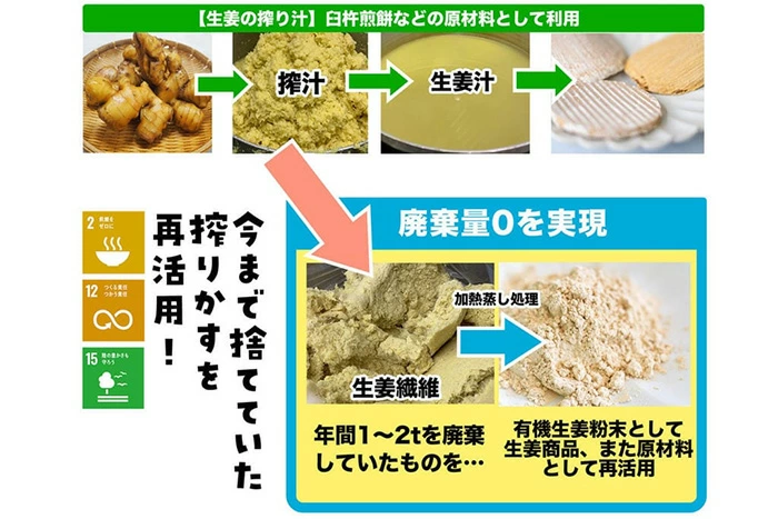 生姜粉末 ムソー 後藤製菓 有機生姜粉末 10g 正規品 保存料 無添加 オーガニック 生姜 パウダー 有機生姜 有機JAS認定商品 後藤製菓
