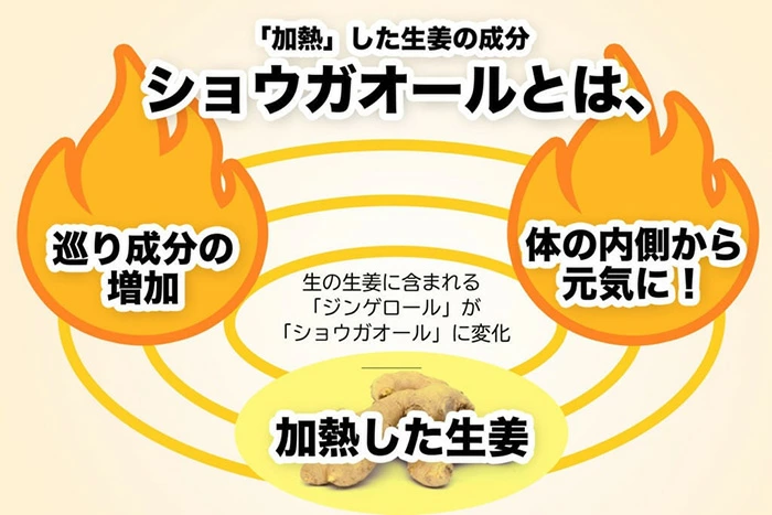生姜粉末 ムソー 後藤製菓 有機生姜粉末 10g 正規品 保存料 無添加 オーガニック 生姜 パウダー 有機生姜 有機JAS認定商品 後藤製菓