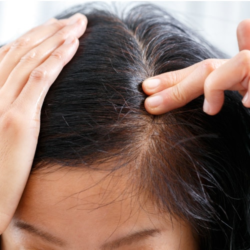 頭皮用オイル グリーンノート アユール ヘアリペアオイル 10mL お試しサイズ 正規品 ノンシリコン 黒胡麻油 ハーブ スタイリング ヘアオイル アウトバストリーメント 頭皮クレンジング 香料、保存料不使用 天然 ナチュラル GREEN NOTE