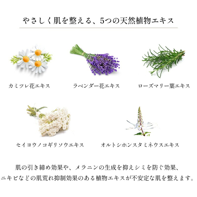 洗顔石鹸 無添加 Lantan ランタン uni soap 無香料 100g 石鹸 オーガニック 正規品 石けん スキンケア 洗顔料 洗顔石鹸 洗顔石けん 天然 ノンケミカル ウニ コールドプロセス