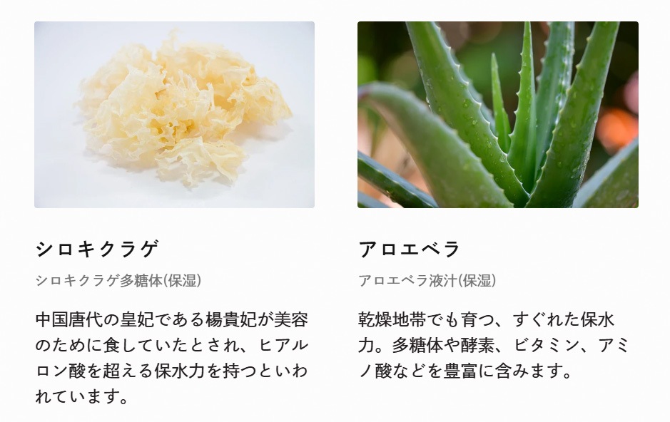 化粧液 Be（ビー）ローション C 100mL 正規品 オーガニック 天然由来100％ 化粧水 とろみ 保湿 うるおい 敏感肌 有機 オーガニック シロキクラゲ アロエベラ カミツレ発酵エキス コメ・クワ麹発酵エキス