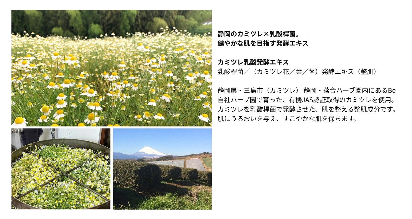 化粧液 Be（ビー）ローション C 100mL 正規品 オーガニック 天然由来100％ 化粧水 とろみ 保湿 うるおい 敏感肌 有機 オーガニック シロキクラゲ アロエベラ カミツレ発酵エキス コメ・クワ麹発酵エキス