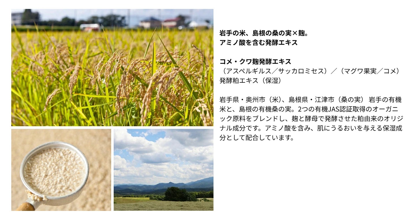 化粧液 Be（ビー）ローション C 100mL 正規品 オーガニック 天然由来100％ 化粧水 とろみ 保湿 うるおい 敏感肌 有機 オーガニック シロキクラゲ アロエベラ カミツレ発酵エキス コメ・クワ麹発酵エキス