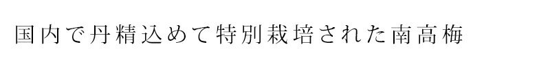 梅干し 創健社 国内産特別栽培南高梅 白干 120g 正規品   保存料 無添加