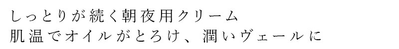朝夜用クリーム Be（ビー） クリーム C 30g 正規品 オーガニック 天然由来100％ フェイスクリーム 保湿 うるおい 乾燥 ハリ ツヤ肌 有機 ツバキオイル ユズオイル 発酵エキス セラミド ヒアルロン酸