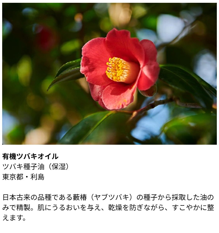 朝夜用クリーム Be（ビー） クリーム C 30g 正規品 オーガニック 天然由来100％ フェイスクリーム 保湿 うるおい 乾燥 ハリ ツヤ肌 有機 ツバキオイル ユズオイル 発酵エキス セラミド ヒアルロン酸