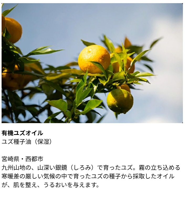 朝夜用クリーム Be（ビー） クリーム C 30g 正規品 オーガニック 天然由来100％ フェイスクリーム 保湿 うるおい 乾燥 ハリ ツヤ肌 有機 ツバキオイル ユズオイル 発酵エキス セラミド ヒアルロン酸
