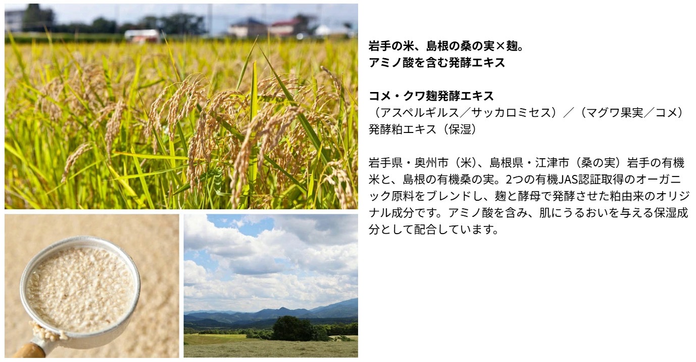 朝夜用クリーム Be（ビー） クリーム C 30g 正規品 オーガニック 天然由来100％ フェイスクリーム 保湿 うるおい 乾燥 ハリ ツヤ肌 有機 ツバキオイル ユズオイル 発酵エキス セラミド ヒアルロン酸