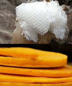 リップクリーム 無添加 ナイアード ビーワックスリップクリーム 10ml オーガニック 正規品 スキンケア ヘアワックス ハンドクリーム ジャータイプ 天然 ナチュラル ノンケミカル 自然