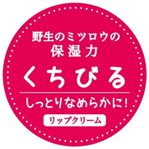 リップクリーム 無添加 ナイアード ビーワックスリップクリーム 10ml オーガニック 正規品 スキンケア ヘアワックス ハンドクリーム ジャータイプ 天然 ナチュラル ノンケミカル 自然