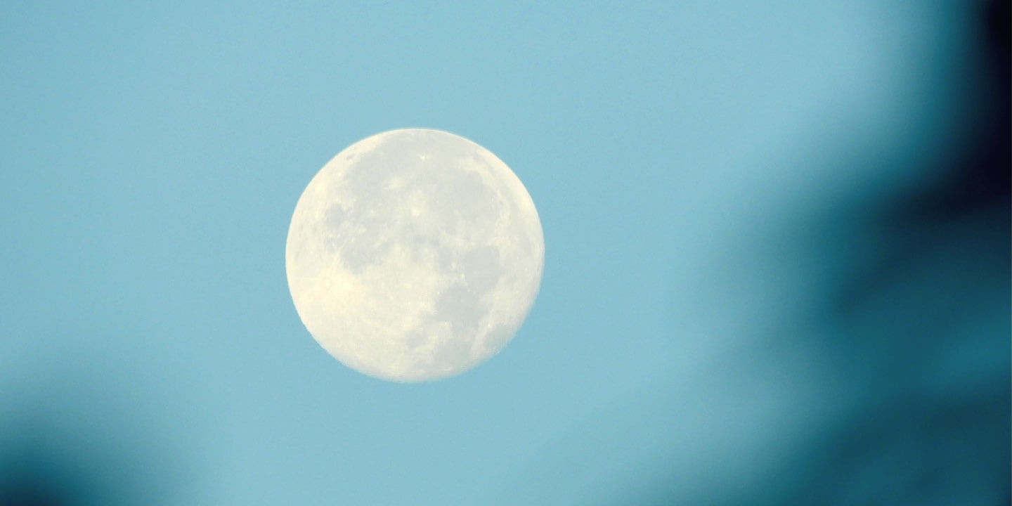 石鹸 シャンプー ノンシリコン MOONSOAP ムーンソープ メルティソープムーンブロッサム 詰替用 250ml オーガニック 無添加 正規品 低刺激 ノンパラベン シャンプー ナチュラル