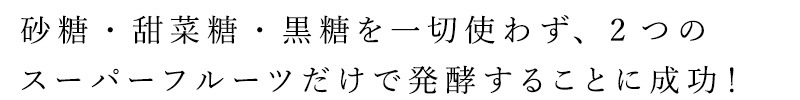 ザクロ ニニ 熟成発酵ザクロペースト（7包入） 保存料 無添加 無農薬 正規品   ノンケミカル 自然 美人肌 Organic nini デーツ スーパーフルーツ ミネラル ビタミン アミノ酸