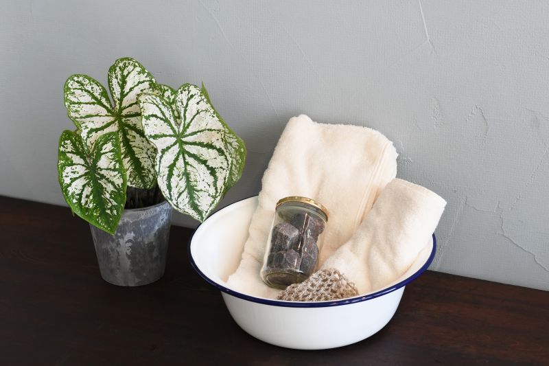 バスソルト 入浴剤 MOONSOAP ムーンソープ ヒマラヤブラック岩塩 オーガニック 無添加 正規品 低刺激 天然成分のみ ナチュラル