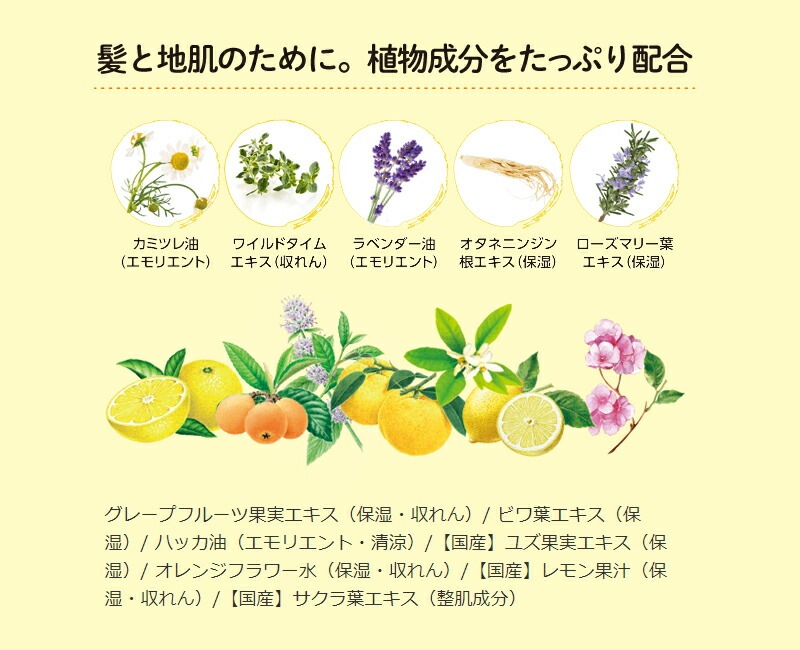 頭皮 ノンシリコン 植物生まれ（オレンジ） 植物生まれのオレンジ地肌ヘッドスパ 180ml 頭皮用美容液 正規品 オーガニック 無添加 石澤研究所 ヘアケア 地肌ケア ノンケミカル 頭皮ケア 頭皮化粧水