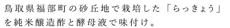 らっきょう漬け 創健社  ジャフマック 予約 砂丘らっきょう 570g（190g×3袋） 甘酢漬 化粧箱入 正規品   保存料 無添加   ラッキョウ 甘酢漬