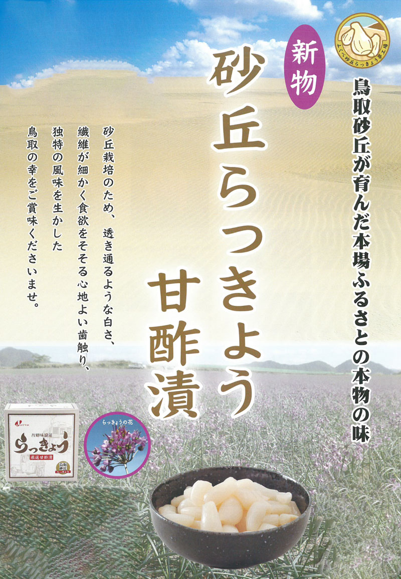らっきょう漬け 創健社  ジャフマック 予約 砂丘らっきょう 570g（190g×3袋） 甘酢漬 化粧箱入 正規品   保存料 無添加   ラッキョウ 甘酢漬