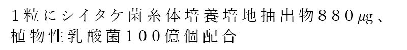 飴 創健社 LEM乳酸菌キャンディ 63g（個包装込み） 正規品 国内産   保存料 無添加