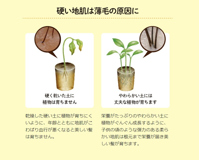 育毛剤 ノンシリコン 植物生まれ（オレンジ） 植物生まれの薬用育毛美容液 180ml 育毛美容液 正規品 オーガニック 無添加 石澤研究所 ヘアケア 頭皮ケア ノンパラベン 低刺激 頭皮ケア 頭皮化粧水