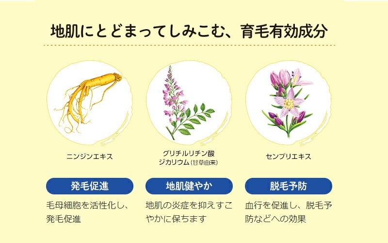 育毛剤 ノンシリコン 植物生まれ（オレンジ） 植物生まれの薬用育毛美容液 180ml 育毛美容液 正規品 オーガニック 無添加 石澤研究所 ヘアケア 頭皮ケア ノンパラベン 低刺激 頭皮ケア 頭皮化粧水