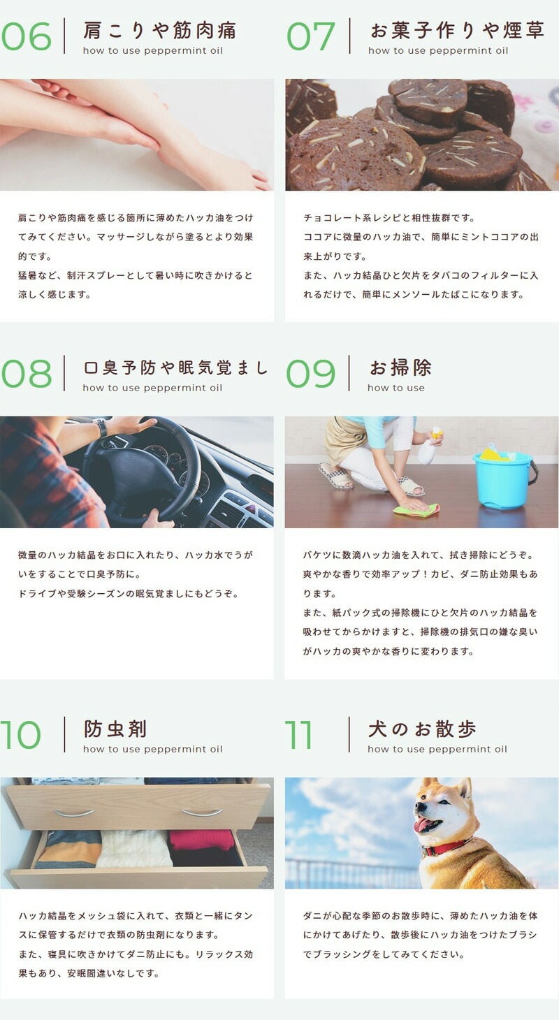 ハッカクリスタル ペパーミント商会 ハッカ結晶（クリスタル） 100g 食品添加物 正規品 保存料 無添加 食品 アロマ ミントオイル 和種薄荷 リフレッシュ 清涼感 消臭剤 お菓子作り