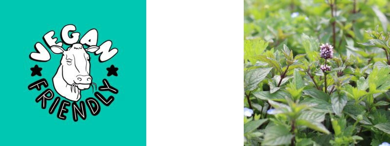 ミントタブレット 保存料 無添加 ペッパースミス Peppersmith  15g 正規品 オーガニック 100%植物ベース  低GI 低カロリー