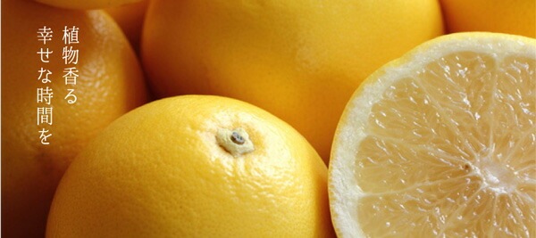 ボディローション 無添加 ボンヌプランツ Bonne Plantes スウィーツソーパー ボンヌプランツシリーズ ボディミルク シトラス 200ml オーガニック 正規品 天然 ナチュラル ノンケミカル 自然