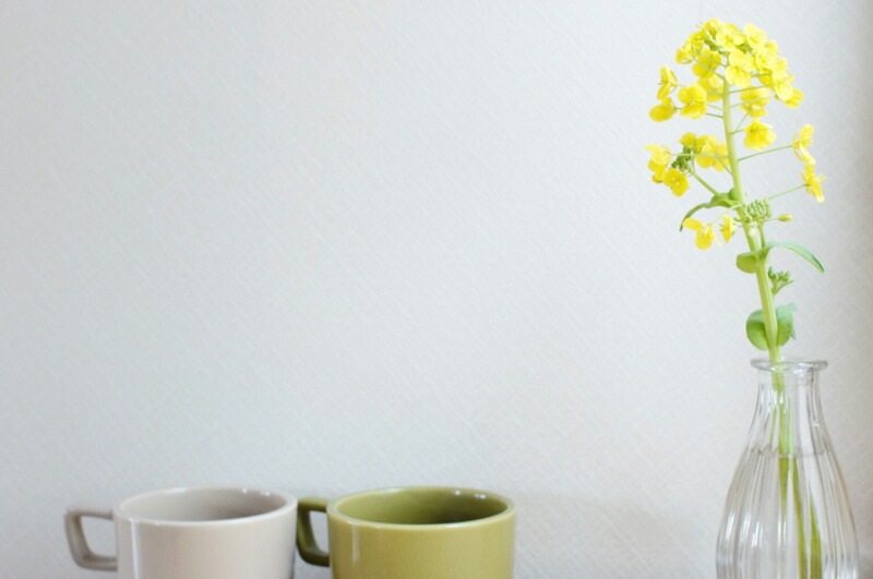 インスタントコーヒー スローコーヒー おいしい やさしい カフェインレス（DECAF） 40g オーガニック 有機JAS 正規品 保存料 無添加   ノンケミカル 自然 珈琲 Slow Coffee