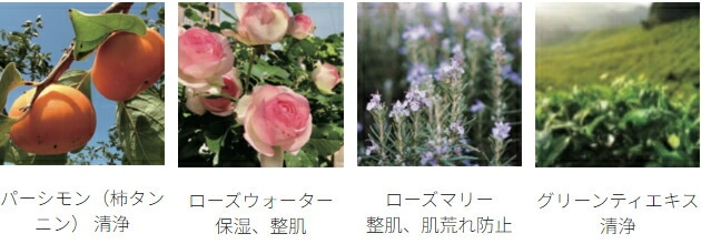 ボディウォッシュ 無添加 bda ORGANIC ディープクレンジングウォッシュ ボディアンドハンド グリーンティ＆パーシモン 300ml ボディ洗浄料 正規品 天然 ナチュラル