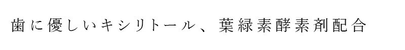 爪楊枝 ペパーミント商会 ハッカ楊枝 250本入り 正規品 無添加 アロマ ミントオイル 和種薄荷 キシリトール 葉緑素 リフレッシュ 清涼感 口臭予防