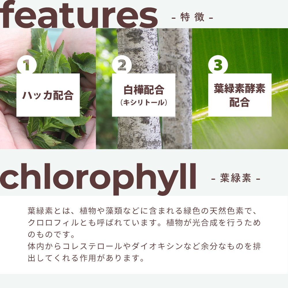 爪楊枝 ペパーミント商会 ハッカ楊枝 250本入り 正規品 無添加 アロマ ミントオイル 和種薄荷 キシリトール 葉緑素 リフレッシュ 清涼感 口臭予防