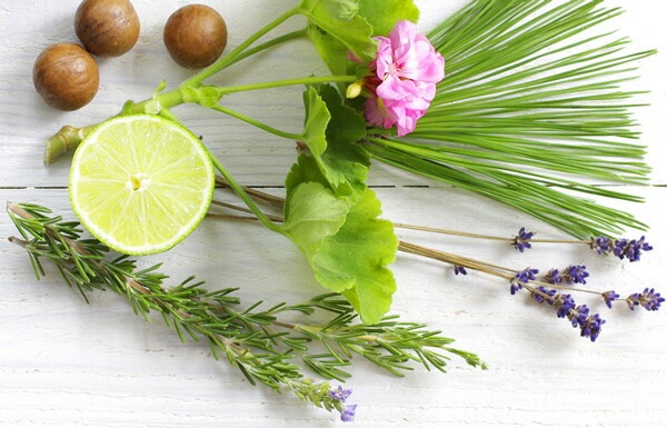 石鹸 シャンプー ムーンソープ メルティーソープ サニーブロッサム (ムースタイプ) 250ml  オーガニック 無添加 正規品 低刺激 ノンパラベン シャンプー ナチュラル MOONSOAP ノンシリコン