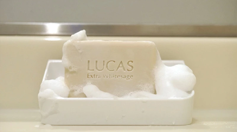全身用ソープ ルカス LUCAS ホワイトセージ全身浄化泡ソープ 900ml（専用容器２種付き） 正規品 天然由来成分 ホワイトセージ ヘアシャンプー ハンドソープ ボディソープ 洗顔フォーム 死海の塩