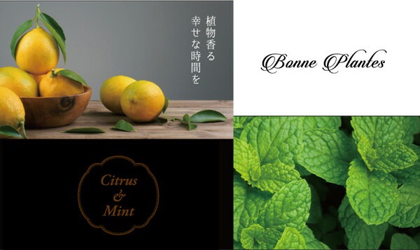 シャンプー ノンシリコン ボンヌプランツ Bonne Plantes スウィーツソーパー ボンヌプランツシリーズ シャンプー シトラス&ミント 300ml 正規品 オーガニック 無添加 天然 ナチュラル ノンケミカル 自然 ヘアケア