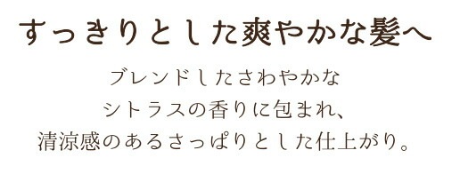 シャンプー ノンシリコン ボンヌプランツ Bonne Plantes スウィーツソーパー ボンヌプランツシリーズ シャンプー シトラス&ミント 300ml 正規品 オーガニック 無添加 天然 ナチュラル ノンケミカル 自然 ヘアケア