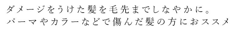 シャンプー ノンシリコン ボンヌプランツ Bonne Plantes スウィーツソーパー ボンヌプランツシリーズ シャンプー 赤紫蘇&ラベンダー 300m 正規品 オーガニック 無添加 天然 ナチュラル ノンケミカル 自然 ヘアケア