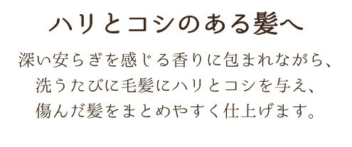 シャンプー ノンシリコン ボンヌプランツ Bonne Plantes スウィーツソーパー ボンヌプランツシリーズ シャンプー 赤紫蘇&ラベンダー 300m 正規品 オーガニック 無添加 天然 ナチュラル ノンケミカル 自然 ヘアケア