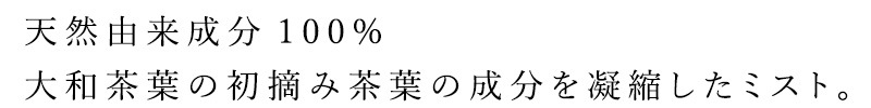 クオン 化粧水 無添加 QUON 2024 初摘みミスト 150ml オーガニック 正規品 スキンケア ローション プレ化粧水 天然 ナチュラル ノンケミカル 自然　初摘み茶