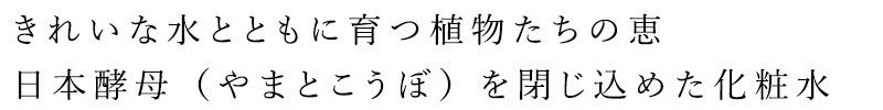 化粧水 無添加 アス バイ パパウォッシュ ボトルエッセンス 130ml 正規品 ローション スキンケア 日本酵母 フェイスケア 天然 ナチュラル ノンケミカル 自然 USS by papawash